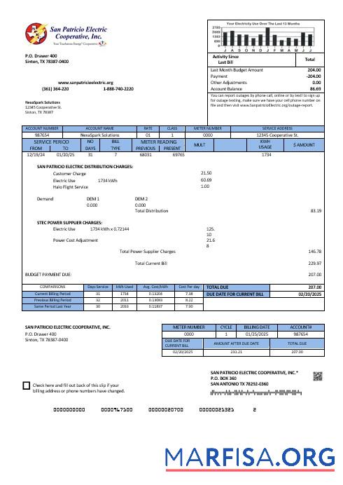 Realistic USA Texas San Patricio Electric Corporative business utility bill template in Word and PDF formats